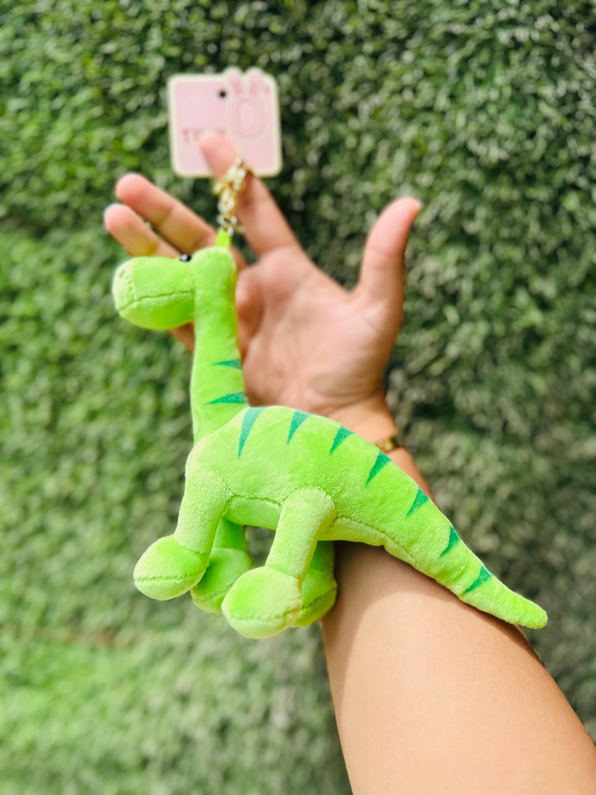 Cute Green Dinosaur Plush Keychain for Kids, Girls & Boys | Soft Dinosaur Bag Charm & Backpack Accessory