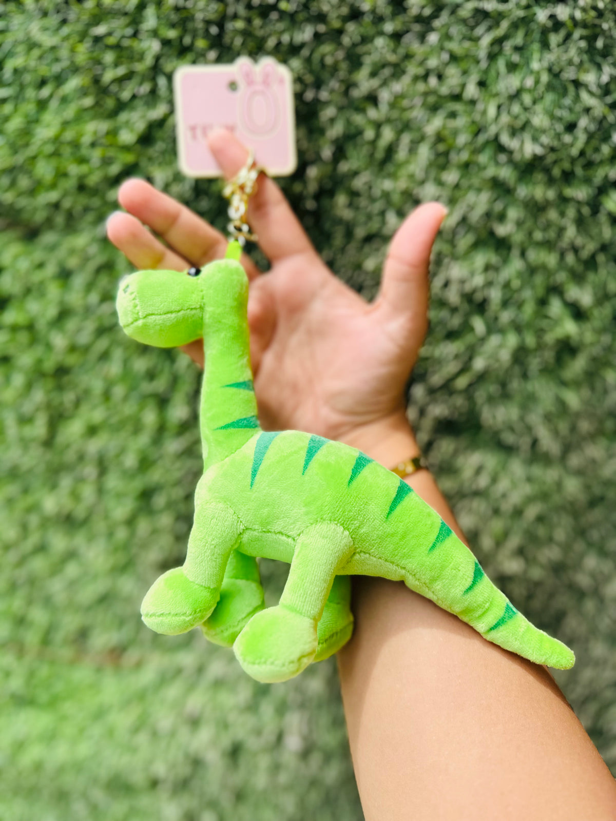 Cute Green Dinosaur Plush Keychain for Kids, Girls & Boys | Soft Dinosaur Bag Charm & Backpack Accessory